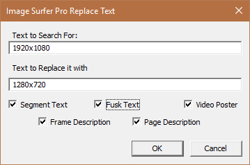 The replace text dialog window